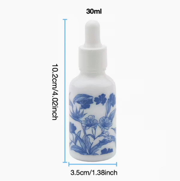 4pcs 30ml Blue and White Ceramic Printed Glass Dropper Bottles
