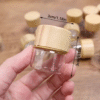 6pcs Mini Airtight Glass Bottles with Wood Grain Lids